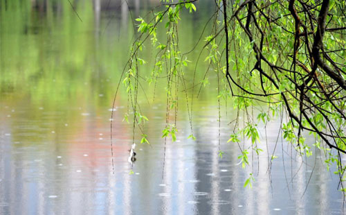 雨中的守護(hù)者 —— 珍珠棉的應(yīng)用實(shí)踐